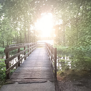 interne-fotos-wandelcoaching Wandelcoaching